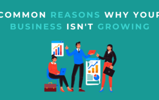 TikTok Marketing Services using expert analysis and strategic visuals